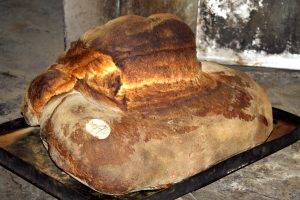 Pane-di-Altamura-300x200 İtalyan ekmek çeşitleri